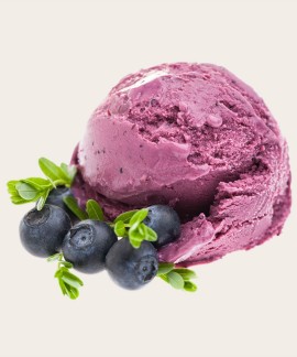 Blue Berry Ice Cream